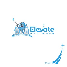 Elevate Pro Wash entry by FXF Creations