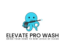 Elevate Pro Wash entry by Nish