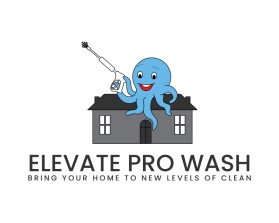 Elevate Pro Wash entry by Nish