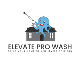 Elevate Pro Wash entry by Nish