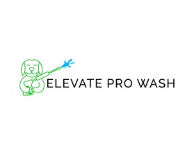 Elevate Pro Wash entry by Nish