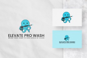 Elevate Pro Wash entry by Nish