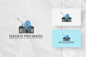 Elevate Pro Wash entry by Nish