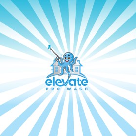 Elevate Pro Wash entry by FXF Creations