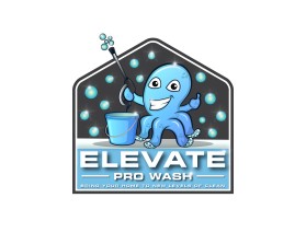 Elevate Pro Wash entry by SplashBucket