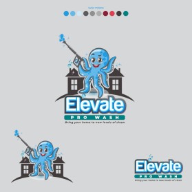 Elevate Pro Wash entry by FXF Creations