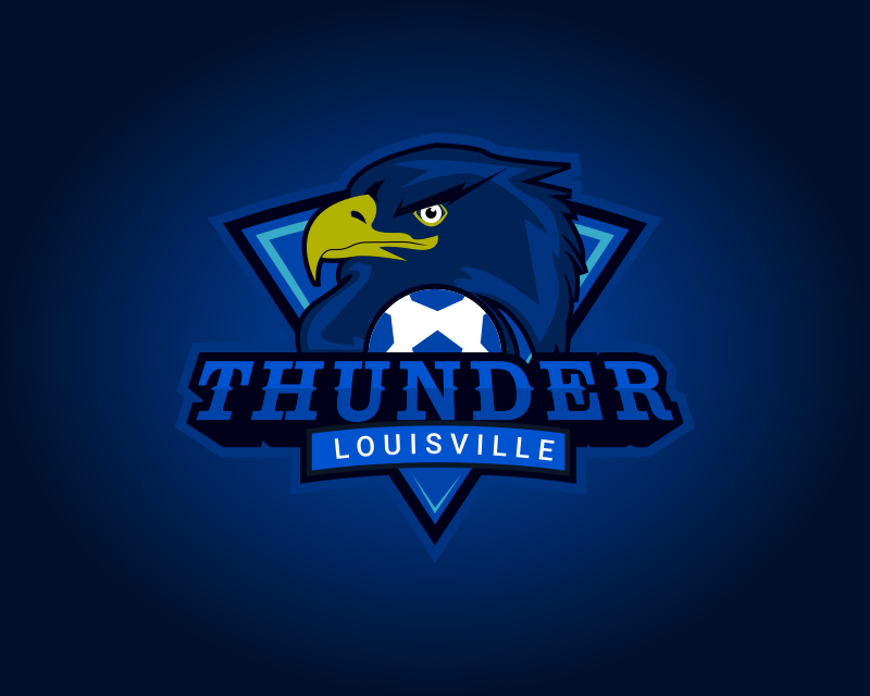 Blue Hawk Logo Design