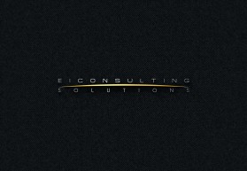 Ei Consulting Solutions entry by freelancernursultan