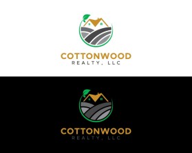 Cottonwood Realty, LLC entry by Amir Hamzaa