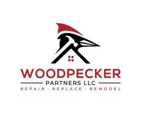 Woodpecker Partners LLC entry by Amit Kumar