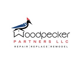 Woodpecker Partners LLC entry by Amit Kumar