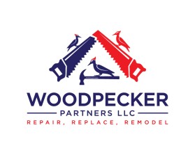 Woodpecker Partners LLC entry by Amit Kumar