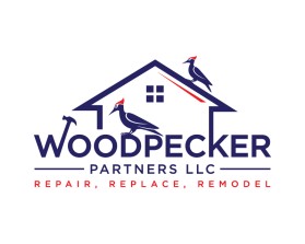 Woodpecker Partners LLC entry by Amit Kumar