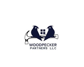 Woodpecker Partners LLC entry by mustafa