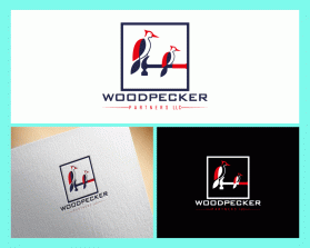 Woodpecker Partners LLC entry by anik