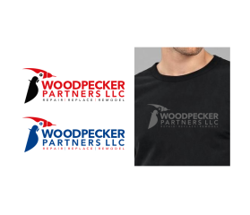 Woodpecker Partners LLC entry by roberto de castro