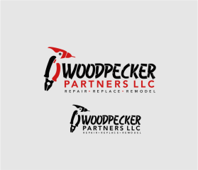 Woodpecker Partners LLC entry by roberto de castro
