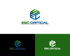 ESC Critical entry by binbin design