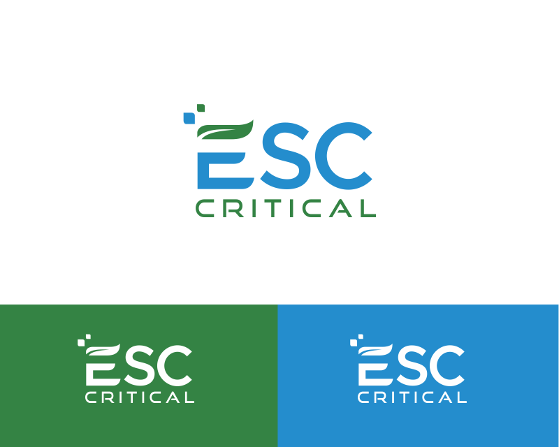 Logo Design for ESC Critical