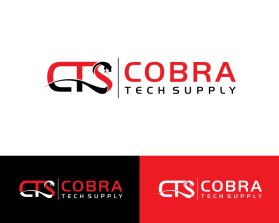 CTS - Cobra Tech Solutions entry by SN