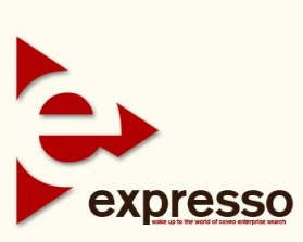 www.coveo.com entry by brightside
