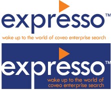www.coveo.com entry by graphiclines