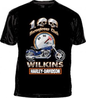 www.wilkinsharley.com entry by harbor