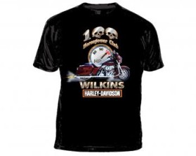 www.wilkinsharley.com entry by harbor