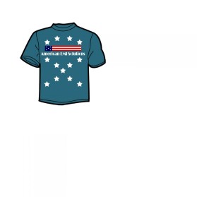 American EMI Solutions entry by swordinhand