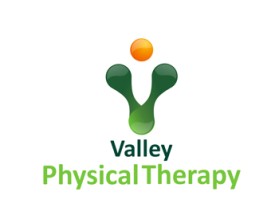 Valley Physical Therapy LLC  entry by mikail ghazian