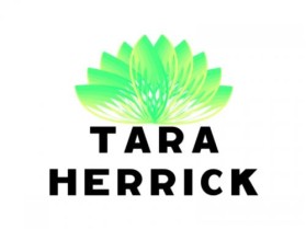 Logo Design entry 5311 submitted by stvspl