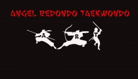 Angel Redondo Taekwondo entry by OriginalDesigns