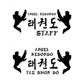 Angel Redondo Taekwondo entry by bornaraidr