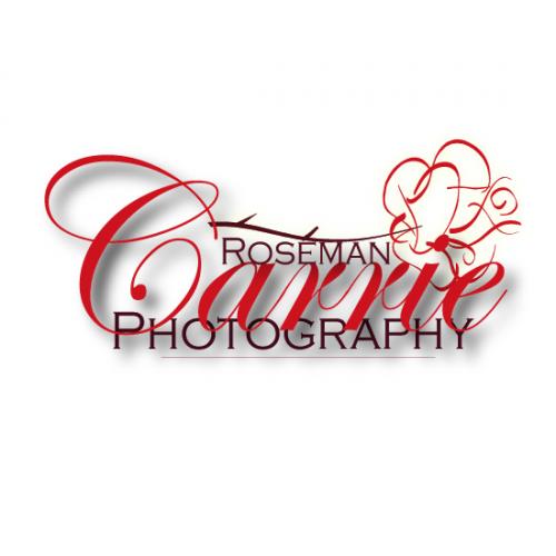 Logo Design entry 6017 submitted by sboze16