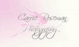 Logo Design entry 19680 submitted by OriginalDesigns