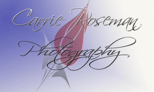 Logo Design entry 6075 submitted by OriginalDesigns