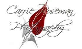 Logo Design entry 6077 submitted by OriginalDesigns