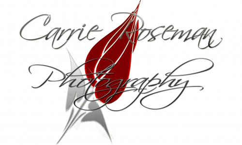 Logo Design entry 6077 submitted by OriginalDesigns