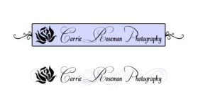 Logo Design entry 19686 submitted by Phraktol Designs