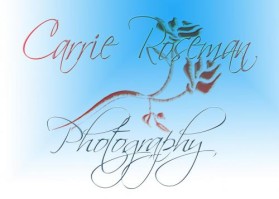 Logo Design entry 6117 submitted by OriginalDesigns