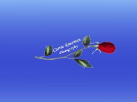 Logo Design entry 6135 submitted by Stefan