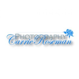 Logo Design entry 6210 submitted by sboze16