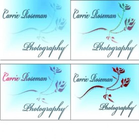 Logo Design entry 6221 submitted by OriginalDesigns