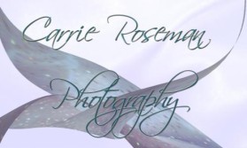 Logo Design entry 6792 submitted by OriginalDesigns