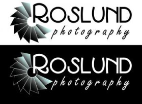 Logo Design entry 114437 submitted by stellar_designs