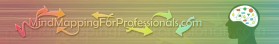 MindMappingForProfessionals.com entry by ghita_cristian