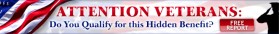 Banner Ad for Free Veterans Report entry by Evica 