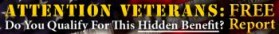 Banner Ad for Free Veterans Report entry by Brando Graphic Art