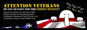 Banner Ad for Free Veterans Report entry by B.CrimDesign