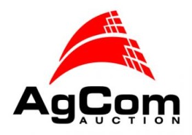 Logo Design entry 123371 submitted by tienvietnam